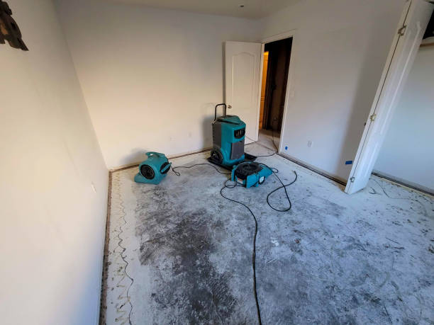 Carpet water damage restoration in NE