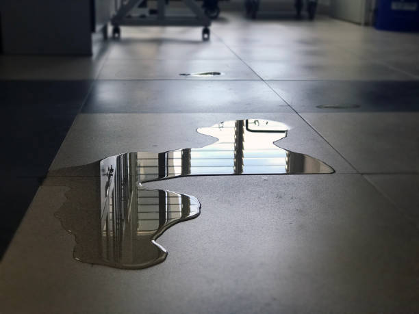 Best Commercial water damage restoration  in Woodland Park, NE