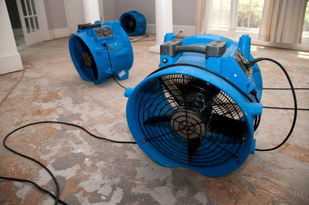 Best Water damage restoration mold remediation  in Woodland Park, NE