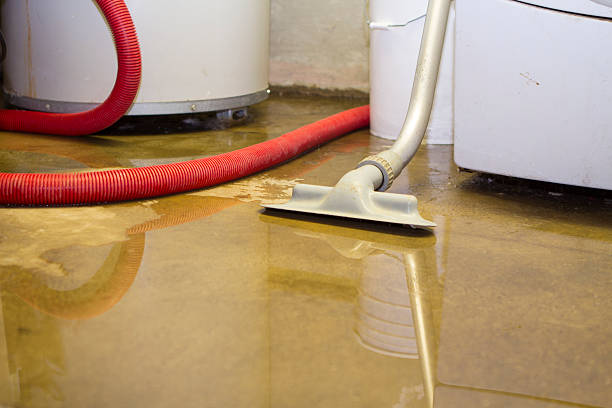 Water damage restoration mold remediation in NE