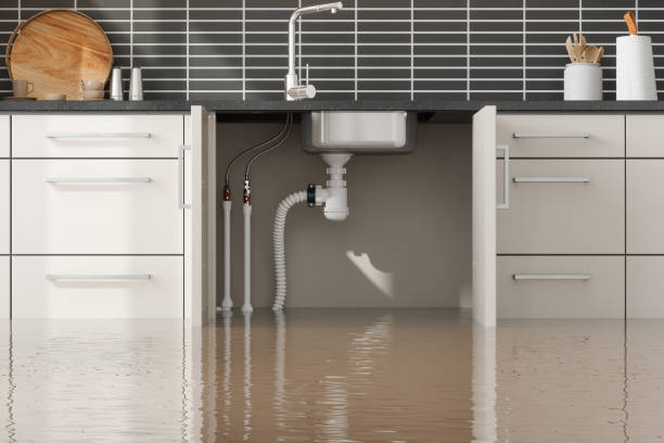 Best Ceiling water damage repair  in Woodland Park, NE