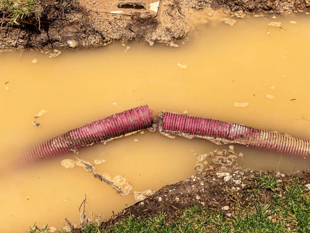 Best Flood restoration services  in Woodland Park, NE