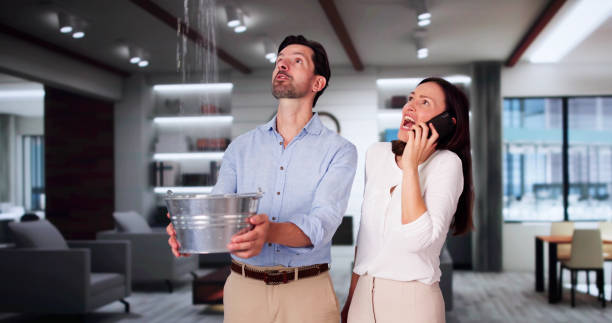 Best 24/7 water damage repair  in Woodland Park, NE
